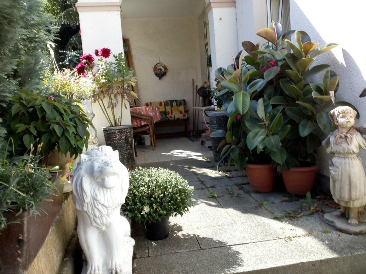 Dach-Studio-Runkel Schadecker Strasse 6 Екстериор снимка