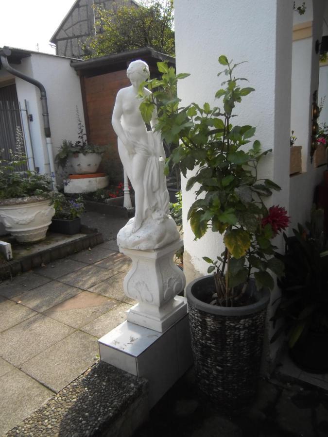 Dach-Studio-Runkel Schadecker Strasse 6 Екстериор снимка